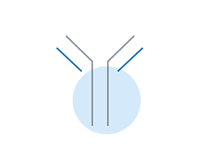 Farmakodynamika a funkcia
