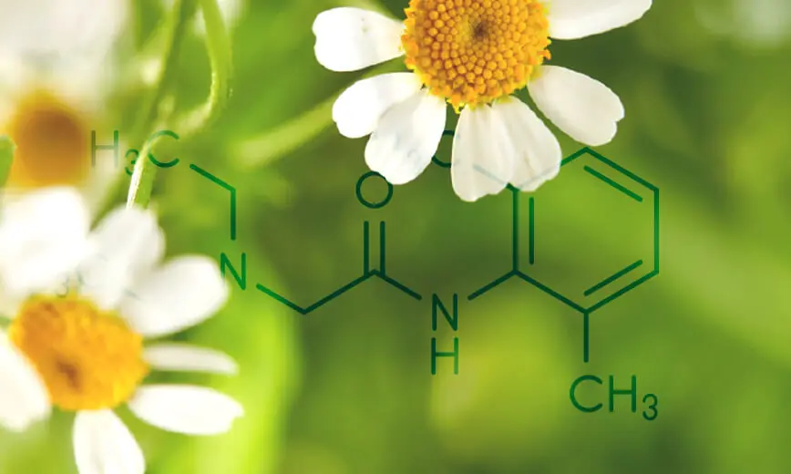 Kamistad s rumančekom